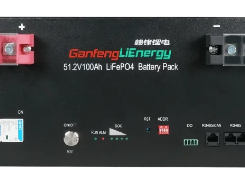 Ganfeng LiEnergy 51.2V100Ah LiFePo4 Battery Pack